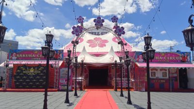 「さくらサーカス」に行ってきました！リトハウス堺