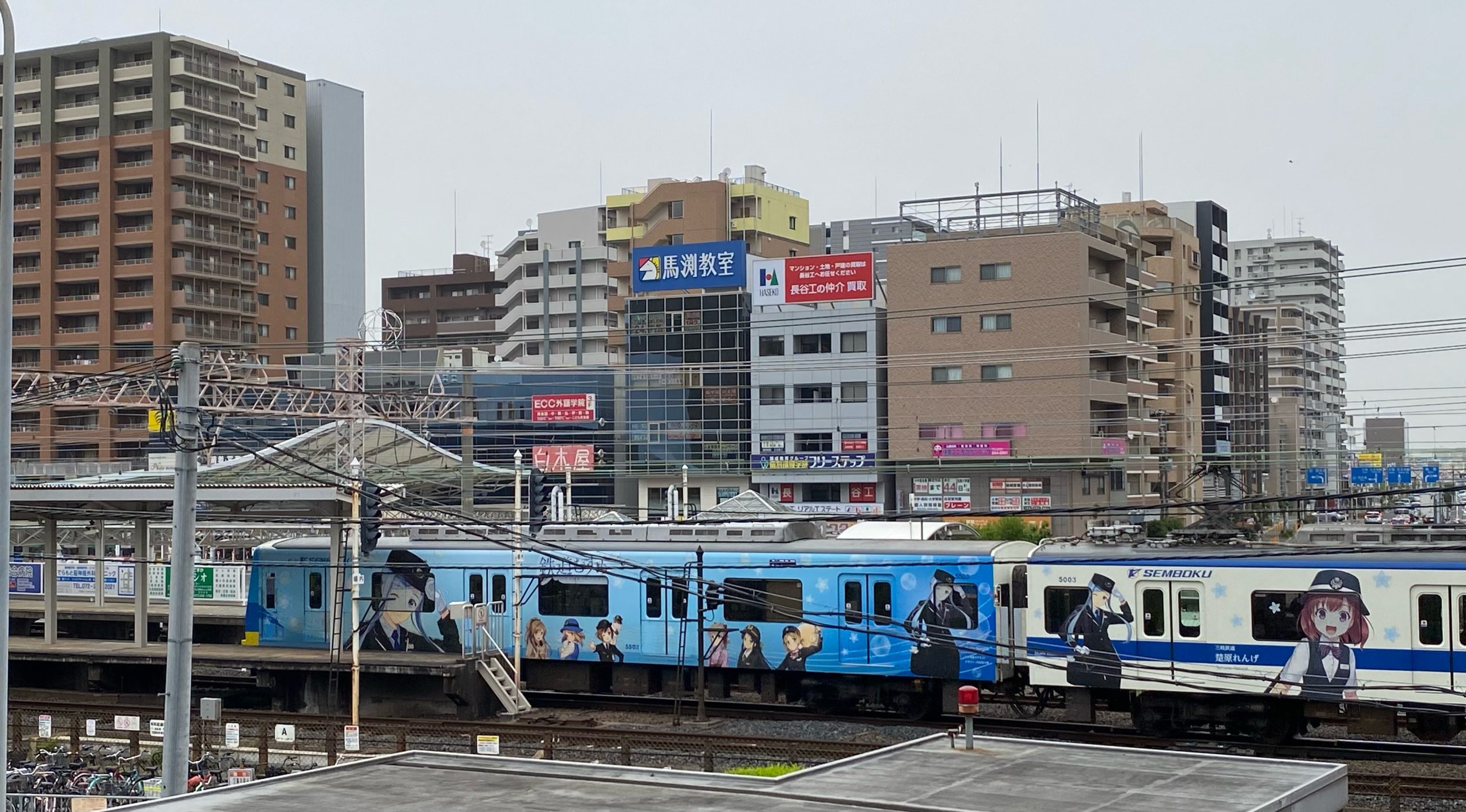 横コツ　鉄道スタフ39行路 最新作の 人気ランキング1位～（売れ筋商品） 鉄道スタフ39行路