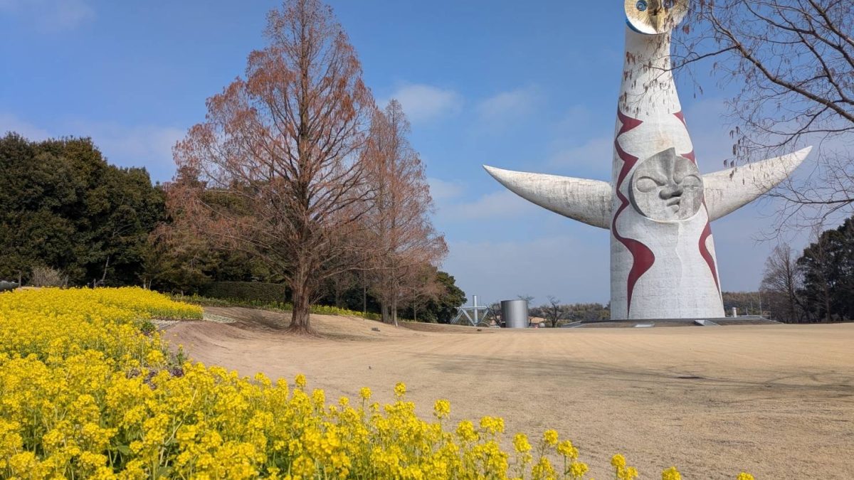 万博記念公園の梅の花を見に行ってきました！　リトハウス千里中央