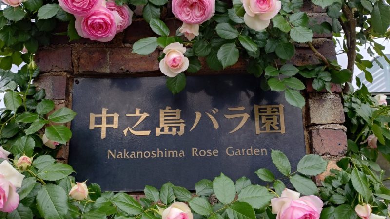 中之島バラ園へ行ってきました! リトハウス長堀橋