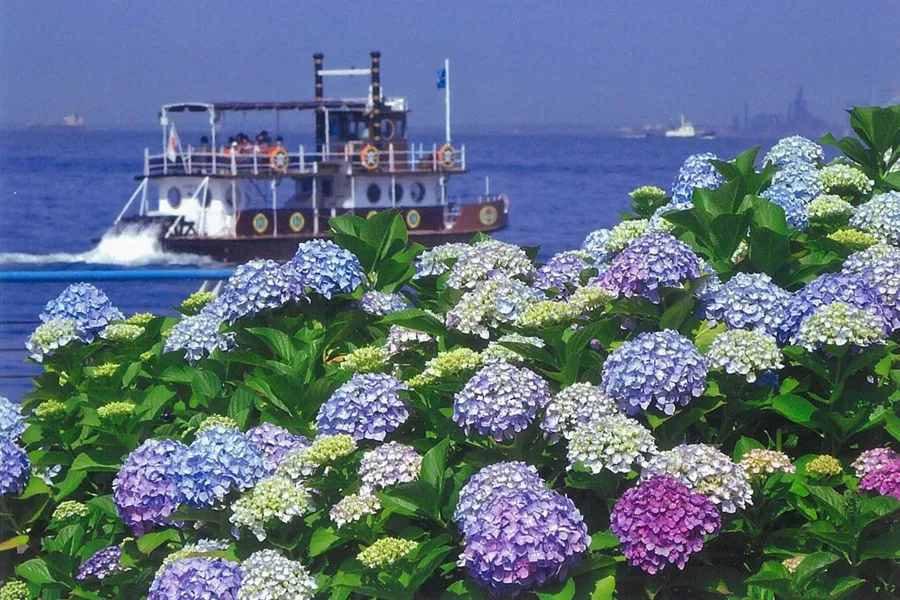 障害年金セミナーを開催しました　リトハウス関内
