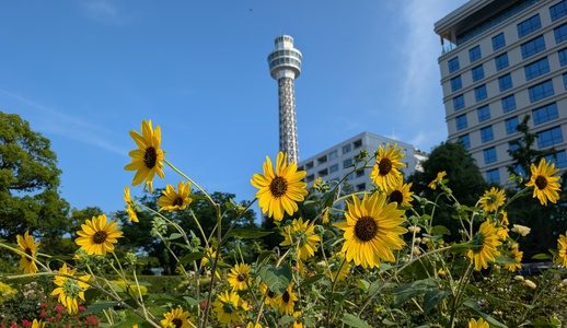 ペーパータワーでチームビルディング　リトハウス関内