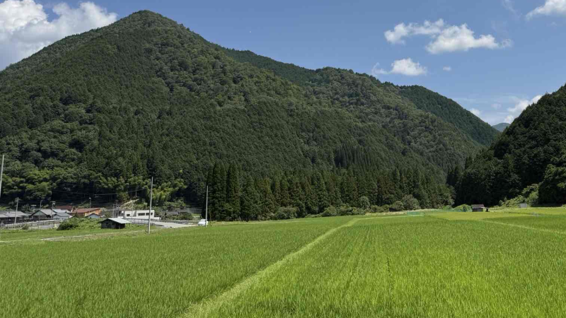 リトハウス長堀橋no土曜Open♪　リトハウス長堀橋