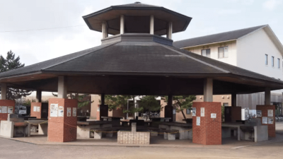 浜寺公園でカレー作り