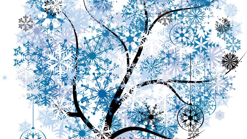 冬の健康管理　リトハウス中百舌鳥