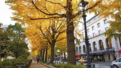 第３回ボッチャ大会を行いました　リトハウス関内