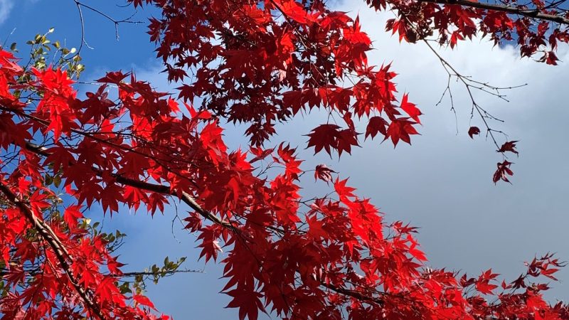 世界に一つだけ！オリジナルタイルコースター作り開催　リトハウス関内