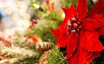 ～　心おどるクリスマス飾り♪　～　リトハウス千里中央