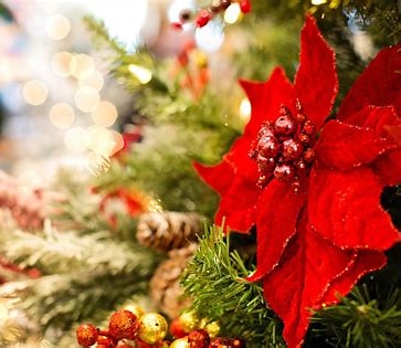 ~ 心おどるクリスマス飾り♪ ~ リトハウス千里中央