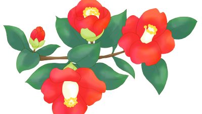 ～　大寒（二十四節気）　～　リトハウス千里中央