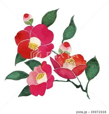 ～　大寒（二十四節気）　～　リトハウス千里中央