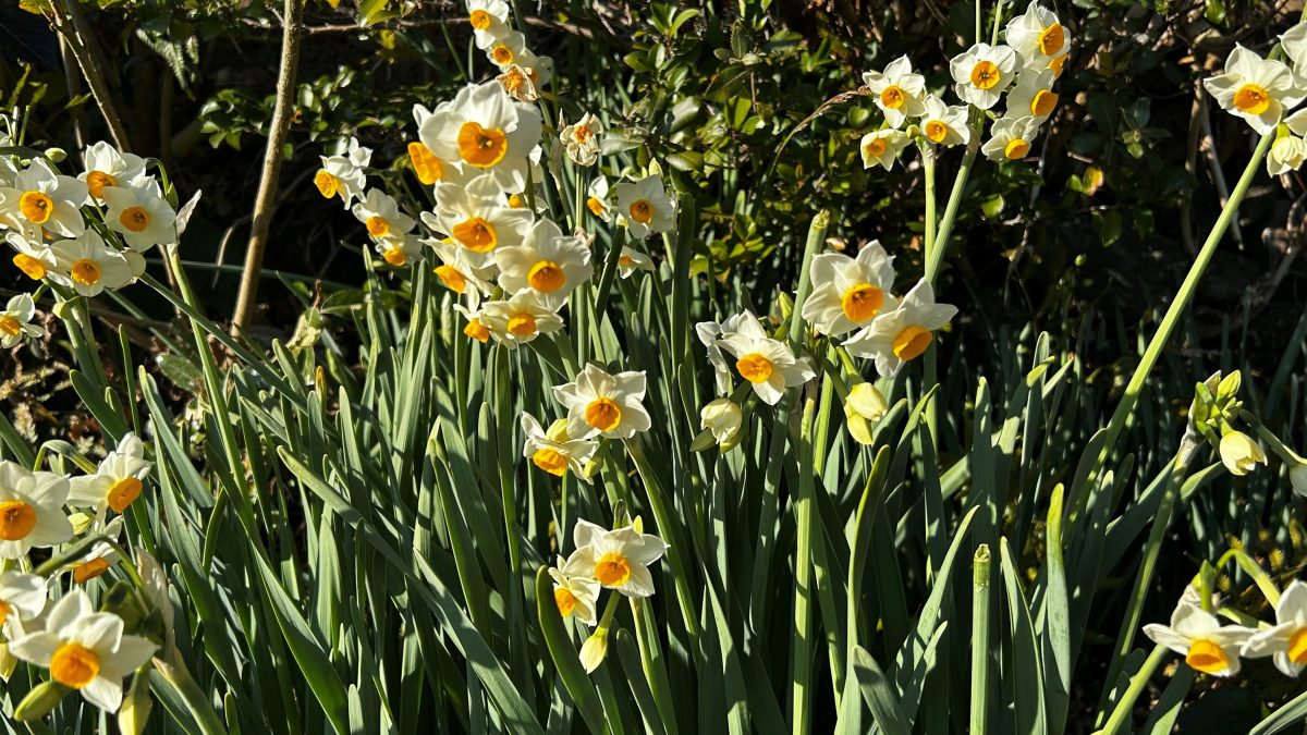 ビジネス講座DEお茶出し体験 リトハウス関内