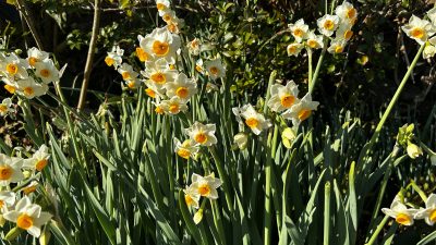 ビジネス講座DEお茶出し体験　リトハウス関内