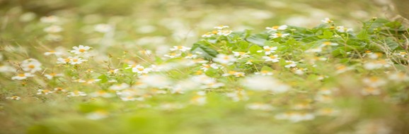 春は心も揺れる季節 〜焦らなくていい理由〜リトハウス千里中央